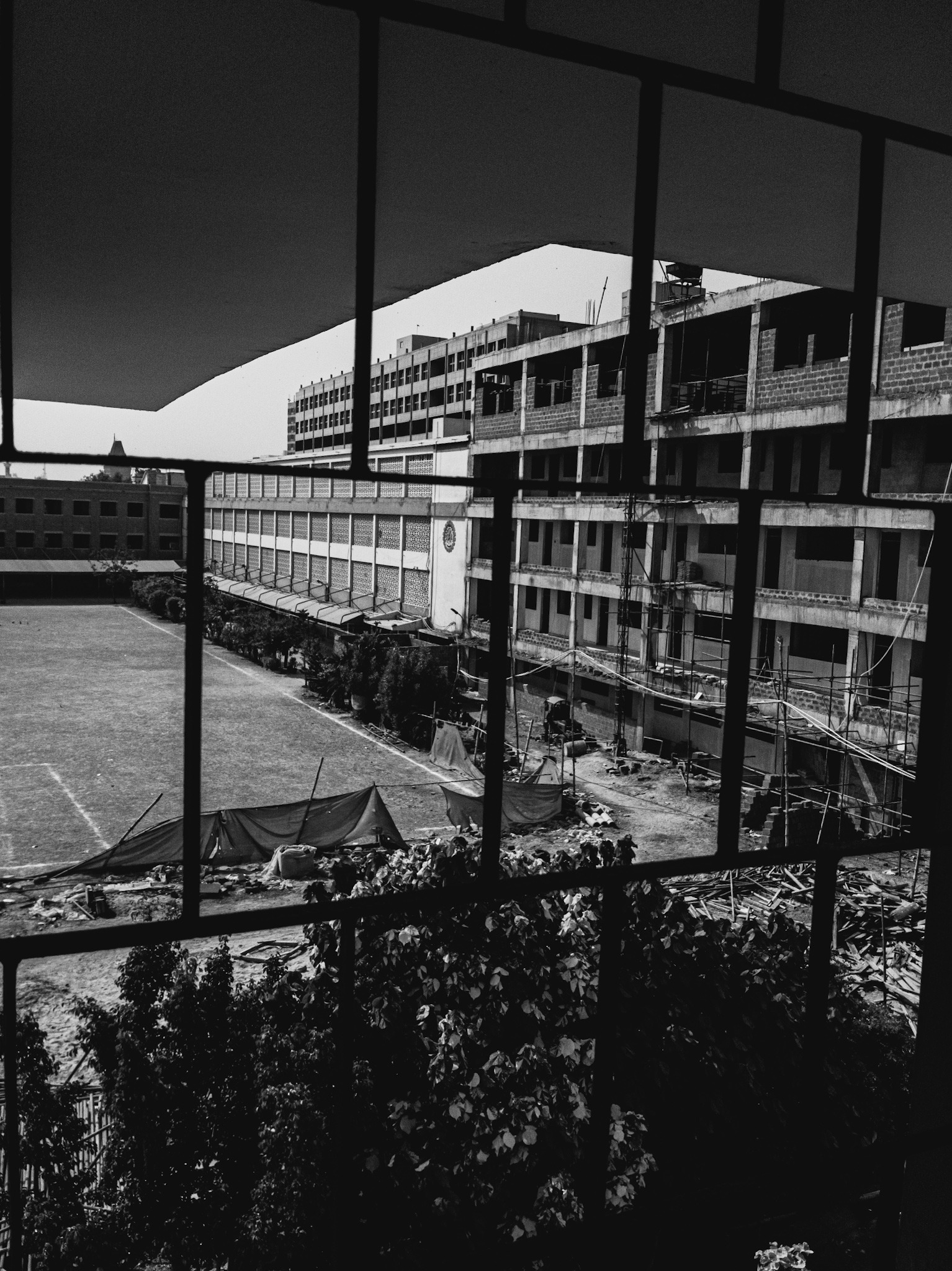 Building framed through structure