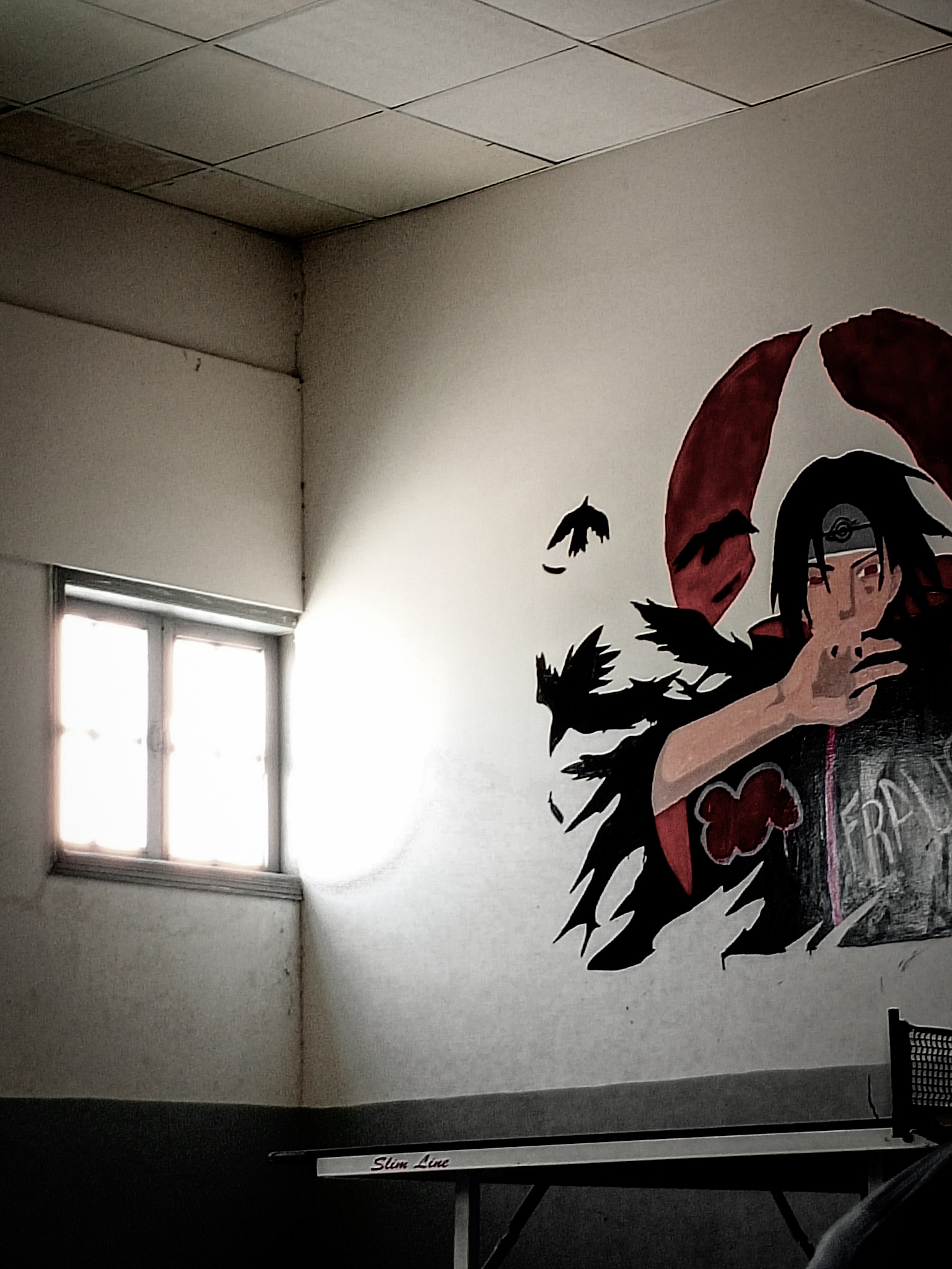 Person with illustrated mural